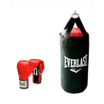 Everlast Junior 2ft Punch Bag with Gloves Set