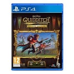 Jeu Vidéo Warner Harry Potter Champions De Quidditch