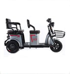 Scooter Mobilité électrique Domestique Tricycle vélo électrique Petit Rappel de Loisirs de la Batterie des Enfants Pick-up Adulte el JIAJIAFUDR (Color : Grey, Size : 48V/20A)