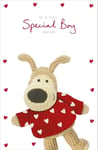 Boofle Valentine's Day Card for A Special Boy - Personalised Sticker Design