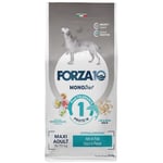 Ekonomipack: 2 / 3 påsar Forza 10 hundfoder till lågpris! - Maxi Diet med fisk (2 x 12 kg)