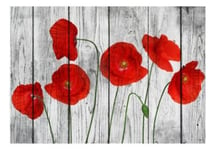 Papier peint intissé panoramique fleurs tale of red poppies 100x70 cm