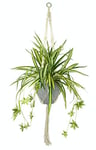 Flair Flower Plante d'intérieur artificielle de nénuphytum Comosum plantes vertes araignée fleur artificielle fleur artificielle fleur en soie fleur textile décoration balcon vert/blanc 95 x 45 x 45 cm