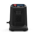 Chargeur de batterie Toro 81802 60V