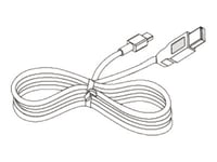 Citizen - Skrivarkabel - Mini-Usb Typ B (Hane) Till Usb (Hane) - För Citizen Cmp-20, Cmp-30