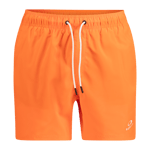 Clear Lake 16" Volley, badeshorts, badebukse, herre