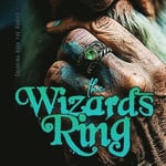 The Wizards RIng Coloring Book for Adults