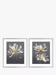 John Lewis Green Lili Modern Floral Framed Print & Mount, Set of 2, 63.5 x 53.5cm, Grey/Yellow