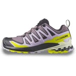 Chaussures Salomon  Xa Pro 3D V9 Gtx W