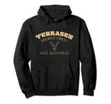 Throne of Glass - The Thirteen for Terrasen Pullover Hoodie