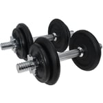 Cast Iron Dumbbell Set - 2x Handles 4x 1.25KG & 4x 2.5KG Plates - Storage Case