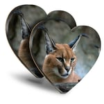 2x Heart MDF Coasters - Caracal African Lynx Cat  #3171