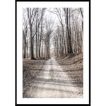 Poster Gallerix Gravel Road In Autumn Forest