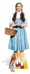 Dorothy from The Wizard of Oz Lifesize and Mini Cardboard Cutout / Standee judy