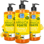 Gel concentré d'Arnica FORTE 90% d'extrait d'Arnica BIO issu de l'Agriculture Biologique. Gel de Massage pour les Muscles et les Articulations. Hydratant pour la Peau - Formato Familiar 3 x 200 ml