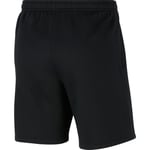 Nike Park Fleece Shorts