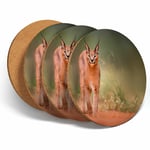 4 Set - Caracal African Lynx Cat Coasters - Kitchen Drinks Coaster Gift #3170