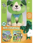 Leapfrog Gift Of Learning DVD