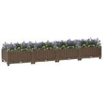 9661®JILI® Magnifique Jardinière surélevée Luxus - Lit surélevé 160x40x23 cm Polypropylène - Bac à fleurs de légumes