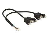 Delock intern-til-ekstern USB-kabel - 8-pins USB 2.0-header til USB - 25 cm