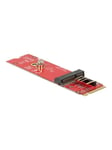 DeLOCK - Interface Adapter - PCIe - PCIe USB