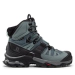 Trekking-skor Salomon Quest 4 Gtx W GORE-TEX 413870 Blå