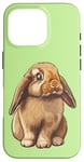 Coque pour iPhone 16 Pro Mini Holland Lop Bunny Rabbit Lover