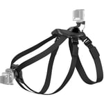 Harnais de fixation pour chien sangle de poitrine pour Gopro Hero 8 7 6 5 4 3 2 session pour accessoires de caméra GO PRO