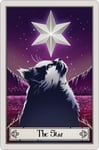 Deadly Tarot Felis - The Star Small Tin Sign