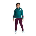 Paris Saint-germain Strike Little K Geode Teal/bordeaux/guava Ice - Nike, storlek Large