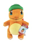 Pokemon Charmander with beanie hat