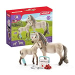 SCHLEICH 42430n Horse Club Hannah’s first-aid kit Horse Club Toy Playset for chi