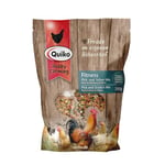 Quiko Hobby Farming Fitness Mix de cueillette et de grattage 700g - Occupation des Poules - Mélange coloré de graines et d'arômes de Haute qualité - Passe-Temps divertissant