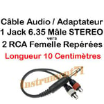 Câble 1 Jack 6,35 Mâle STEREO Male vers 2 RCA Femelle Long 10 centimètres