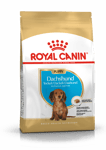 Dachshund valp tørrfôr for valp 1,5 kg - Hund - Hundefôr - Royal Canin