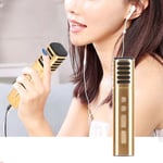 A9 Wired Capacitive Mic With Sound Card Mic Voice Podcasting For Karaoke Set