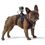 GoPro 1 - 4 Hundesele med holder - Svart