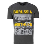 Borussia Dortmund, T-Shirt exclusive collection, anthracite, S