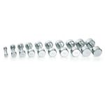 Gymstick Hantel Pro Chrome Dumbbell 4kg - single Gy61072-4