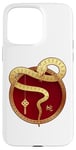 iPhone 15 Pro Max Zen Taiji Lucky Money Red Pocket Snake Year Pj ART ON BACK Case