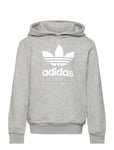 Adidas Originals Trefoil Hoodie Grå