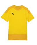 Puma teamGOAL 23 Training Jersey Jr T-Shirt Enfant Cyber Yellow/Spectra Yellow FR : Taille Unique (Taille Fabricant : 128)