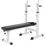 Gorilla Sports Benkpress PRO vektstang, curlstang, manualsett - 100kg