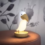 0,54W LED-nattlampa Toucan Bird night light uppladdningsbar via USB