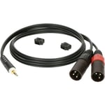 CABLE Y 3 M MINI JACK  - 2 XLR MALE