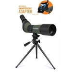 Celestron LandScout 20-60 x 65 Spotting Scope + Digiscoping Kit #52328 (UK) BNIB