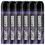 6 x NEW RIGHT GUARD ACTIVE FOR MEN 48hr PROTECTION ANTI-PERSPIRANT SPRAY 250ml