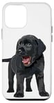 Coque pour iPhone 12 mini Chiot de laboratoire noir