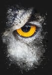 Eye Of An Owl Paint Splash Modern Canvas Wall Art Print Ready to Hang, Framed Picture for Living Room Bedroom Home Office Décor, 50x35 cm (20x14 Inch)