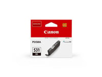 Cartouche d'encre Canon Pixma Chroma Life 100 TS8750 S/BL Noir